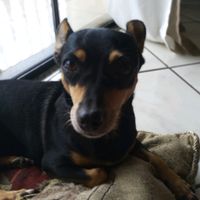 mundodaguigui123