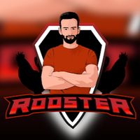 streamsrooster