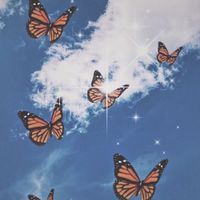story_usa__
