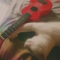 original sound - kiki._.kiki0