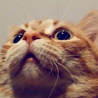 original sound - Producersan