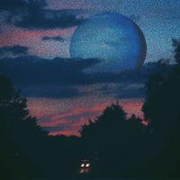 everyday x gucci gucci