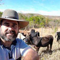 vidacaipiraronaldoprado