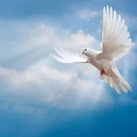 original sound - erick123rhuandy