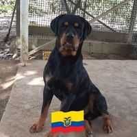 edwinmeneses825