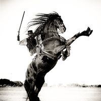 nicolas_diaz_equestrian