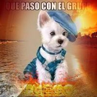 paulavelasquez744