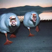 original sound - areallyboredhuman