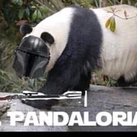 memesforfunmff