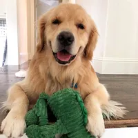 original sound - funtheme