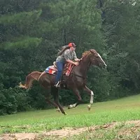 original sound - gracie.gipson