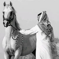 original sound - falh_111