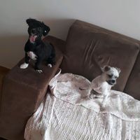 mili_and_luna
