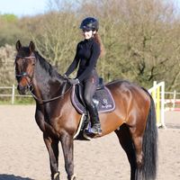 slowmo_showjumpers