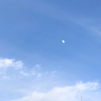 オリジナルソング