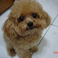 user115163524075