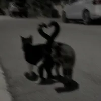 original sound - sped.upfavorites