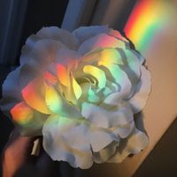 emh.aesthetic