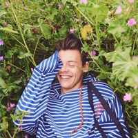 dxddy.styles