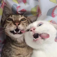 Как я устал