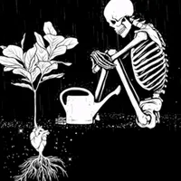 original sound - moody_audioz