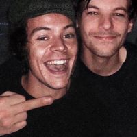 harrysgayvodka