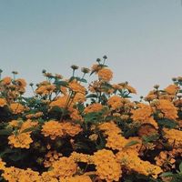 _.sxturn_