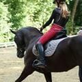ponycas