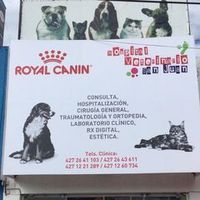 hospitalveterinariosj