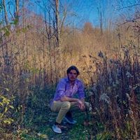 dnewcomb_music