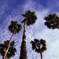 nemeth_reka_06