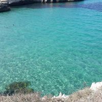italiarosarom