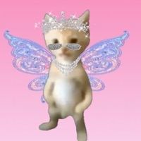 onlyygirlssaccount
