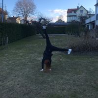 tryppgymnast.swe