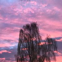 _asthetic_lo_ve_