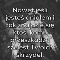 _c_y_t__a_t_y_
