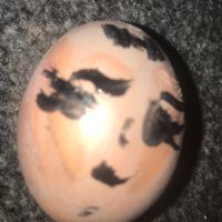cathen.egg.life