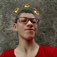 tigrinho17