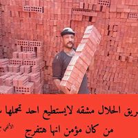 alalfy999