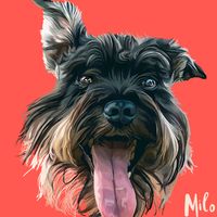 miloschnauzertoy