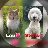 lou.and.stella