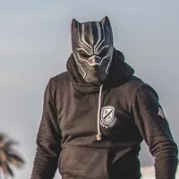 original sound - rsr220pantherrrr