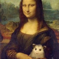 francesca.mumi