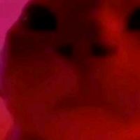 _m0rtacc1_tuo1_