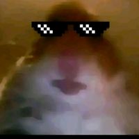 marius_30.3