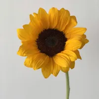 Thanks for using my sound