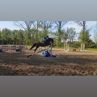 lena.hors.x.e