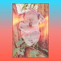 koalaedits17