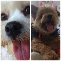 dudu_and_zoe