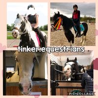tinker.equestrians